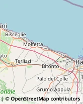 Traduttori ed Interpreti Corato,70033Bari