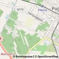 Kart Poggiomarino