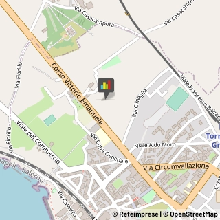 Consulenze Speciali Torre del Greco,80059Napoli