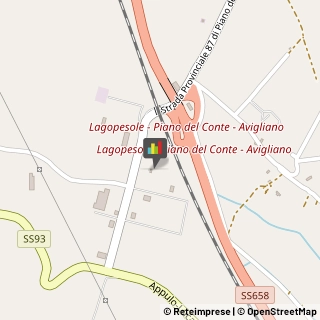 Feste - Organizzazione e Servizi Avigliano,85021Potenza