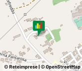 Mangimi e Foraggi,70029Bari