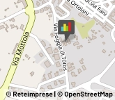 Odontoiatri e Dentisti - Medici Chirurghi,70015Bari