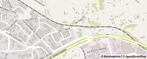 Mappa Noci
