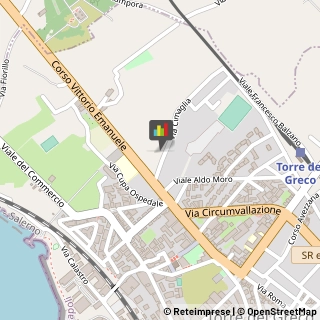 Consulenze Speciali Torre del Greco,80059Napoli