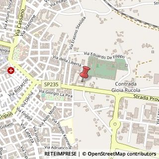 Mappa Via Gioia, 13/d, 70029 Santeramo in Colle, Bari (Puglia)