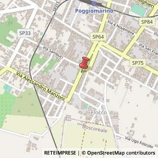 Mappa Viale Alessandro Manzoni, 83, 80040 Poggiomarino, Napoli (Campania)