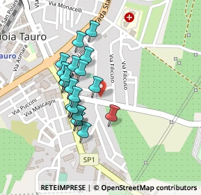Mappa Via Police, 89013 Gioia Tauro RC, Italia (0.2035)