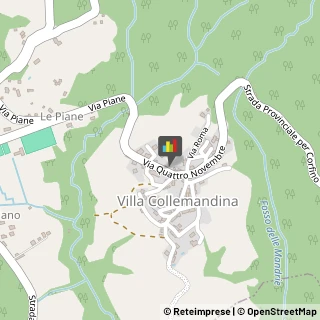 Pelletterie - Ingrosso e Produzione Villa Collemandina,55030Lucca