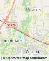 Autofficine e Centri Assistenza Cesena,47522Forlì-Cesena