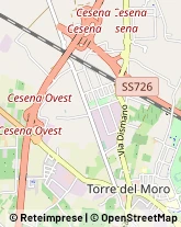 Via Enrico Fermi, 8,47043Gatteo