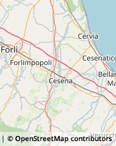 Giornalai Forlimpopoli,47034Forlì-Cesena