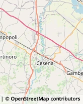 Giornalai Cesena,47522Forlì-Cesena