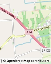 Agenzie di Animazione e Spettacolo Cesena,47521Forlì-Cesena