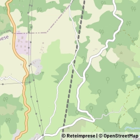 Mappa 40035