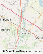 Autonoleggio Cesena,47521Forlì-Cesena