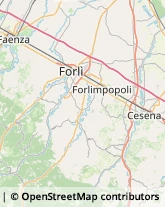 Avicoltura Cesena,47522Forlì-Cesena