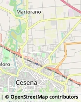 Trasporto Pubblico Cesena,47521Forlì-Cesena