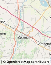 Trasporto Pubblico Cesena,47522Forlì-Cesena