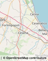 Trasporto Pubblico Cesenatico,47042Forlì-Cesena