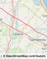 Erboristerie Gambettola,47035Forlì-Cesena