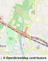 Trasporto Pubblico Cesena,47522Forlì-Cesena