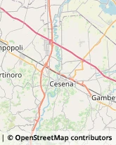 Trasporto Pubblico Cesena,47522Forlì-Cesena