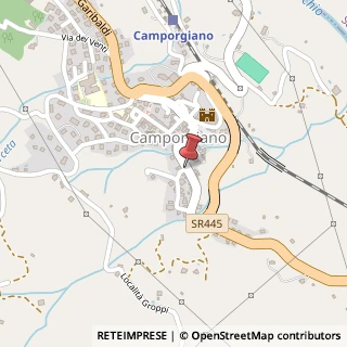 Mappa Via Alberto Bertolini, 36, 55031 Camporgiano, Lucca (Toscana)