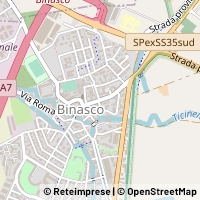 Map Binasco