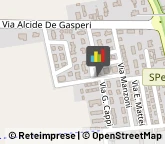 Autotrasporti Ripalta Cremasca,26010Cremona
