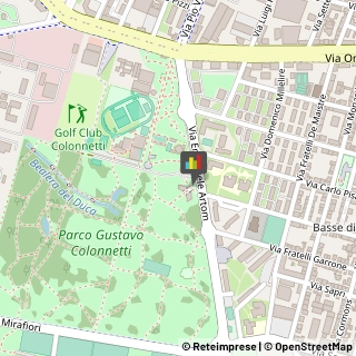 Feste - Organizzazione e Servizi,10135Torino