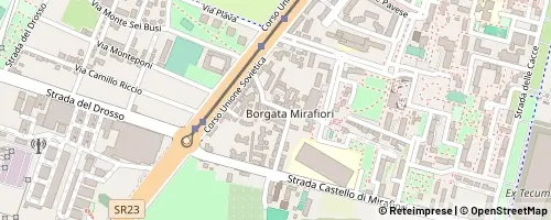 Mappa Turin
