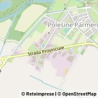 Map Polesine Zibello