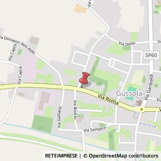 Mappa Via Roma, 50, 26040 Gussola, Cremona (Lombardia)