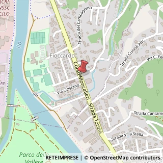 Mappa Corso Moncalieri,  492, 10133 Torino, Torino (Piemonte)