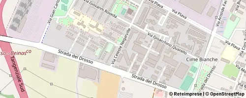 Mappa Turyn