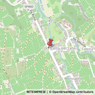 Mappa Corso Roma, 84, 27050 Torricella Verzate, Pavia (Lombardia)