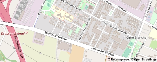 Mappa Turin