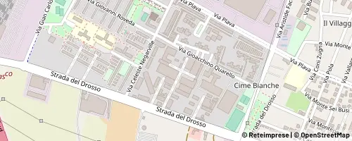 Mappa Turin