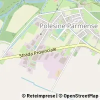Hartă Polesine Zibello