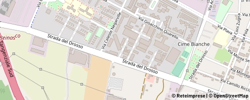 Mappa Torino