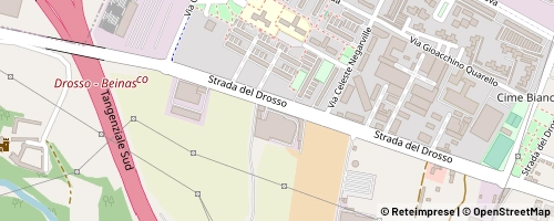 Mappa Torino