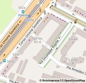 Mappa Via Giuseppe Rigola, 10135 Torino TO, Italia (0.06538)