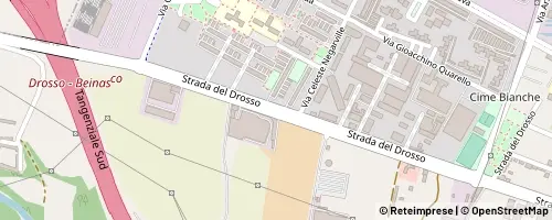 Mappa Turin