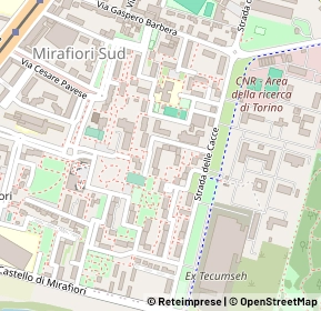 Mappa Via Timoteo Riboli, 10135 Torino TO, Italia (0.25)