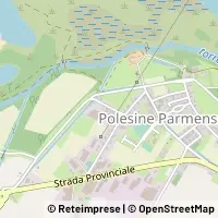 Map Polesine Zibello