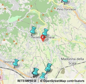 Mappa Strada Revigliasco, 10020 Pecetto Torinese TO, Italia (2.91545)