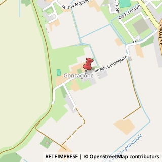 Mappa Strada Gonzagone, 11, 46029 Suzzara, Mantova (Lombardia)