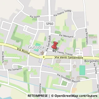 Mappa Via Trento Trieste, 29, 26040 Gussola, Cremona (Lombardia)