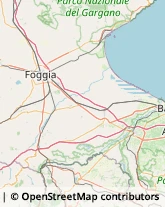 Giornalai Foggia,71100Foggia