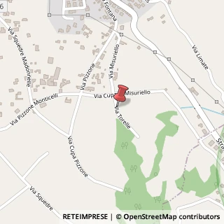 Mappa Via Torelle, 1, 81016 Piedimonte Matese, Caserta (Campania)